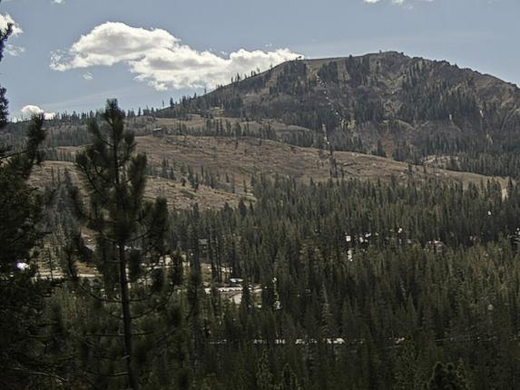 Webcam Sugar Bowl: Lincoln Palisades