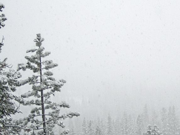 Webcam Sugar Bowl: Lincoln Palisades