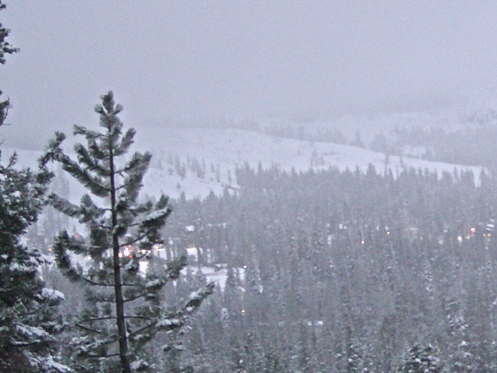 Webcam Sugar Bowl: Lincoln Palisades