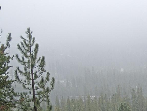 Webcam Sugar Bowl: Lincoln Palisades