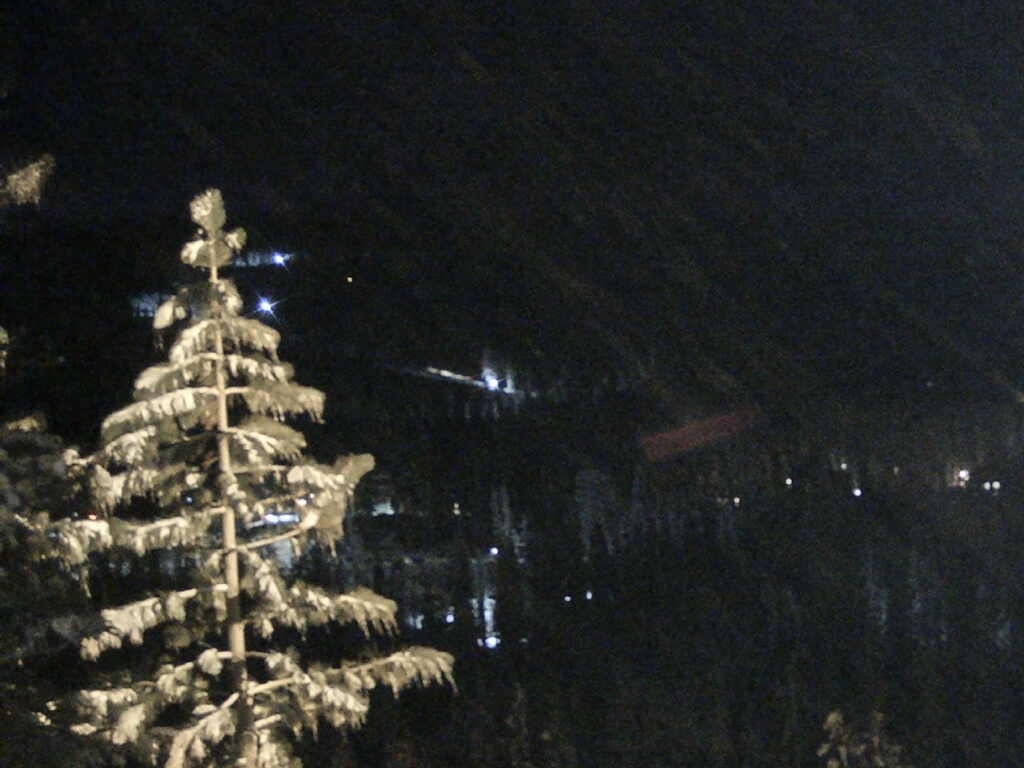 Webcam Sugar Bowl: Lincoln Palisades