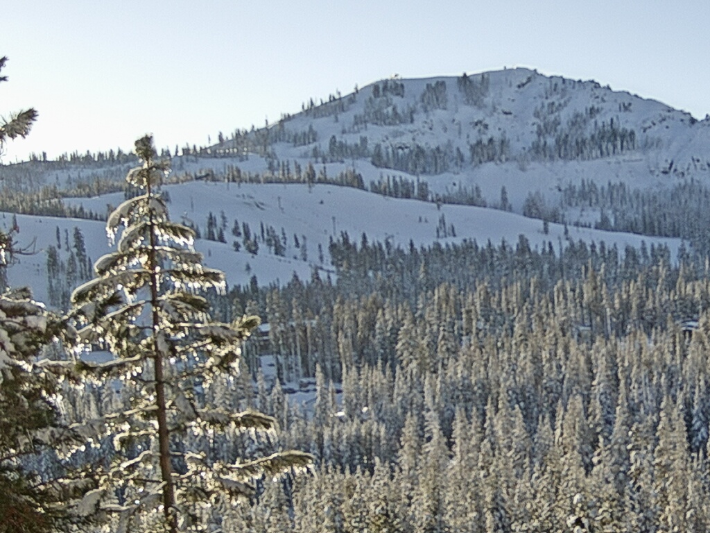 Webcam Sugar Bowl: Lincoln Palisades