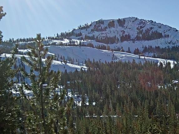 Webcam Sugar Bowl: Lincoln Palisades