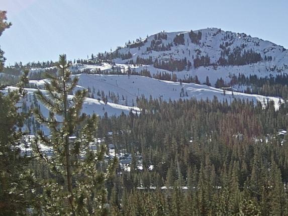 Webcam Sugar Bowl: Lincoln Palisades