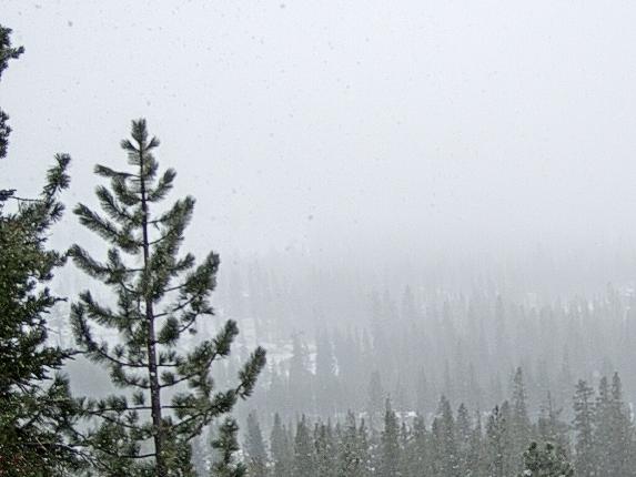 Webcam Sugar Bowl: Lincoln Palisades