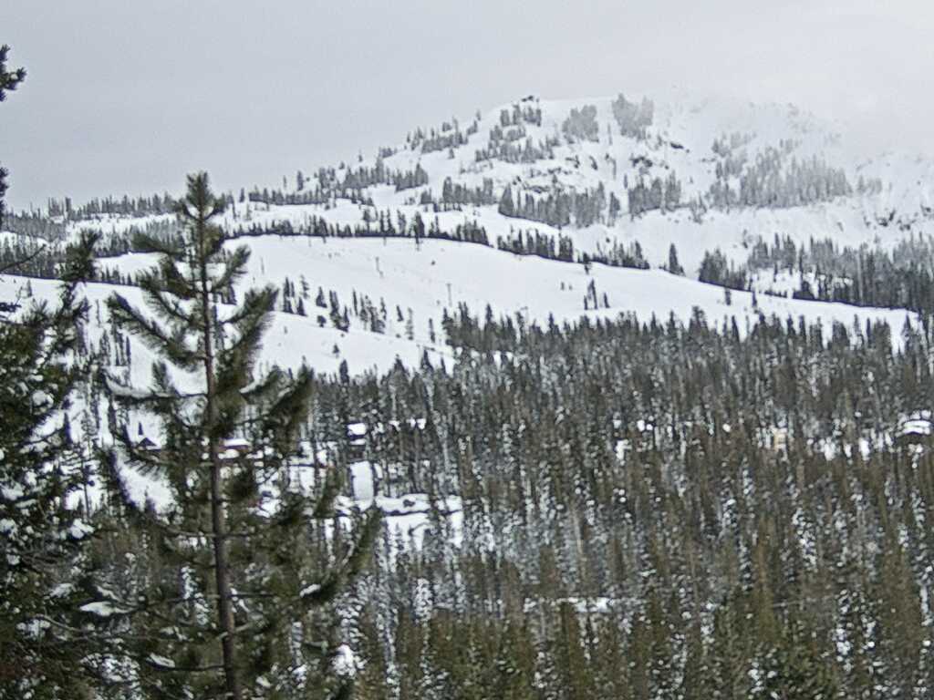 Webcam Sugar Bowl: Lincoln Palisades