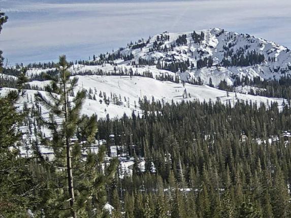 Webcam Sugar Bowl: Lincoln Palisades