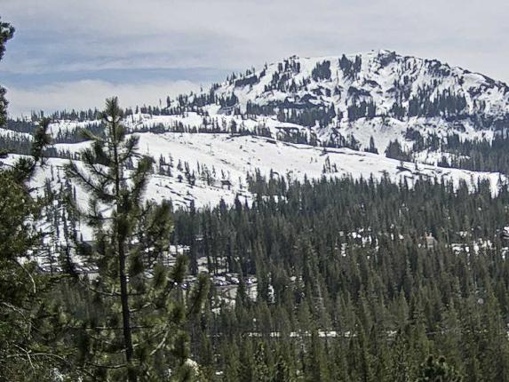 Webcam Sugar Bowl: Lincoln Palisades