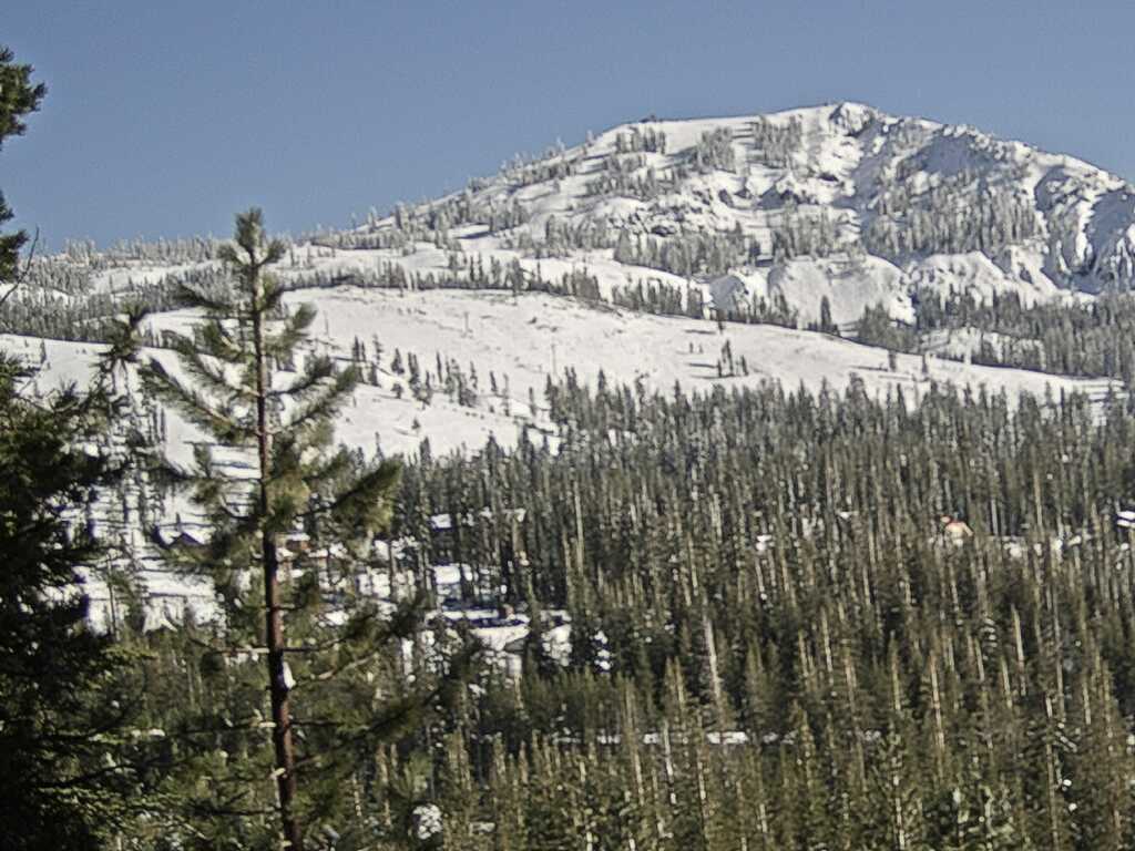 Webcam Sugar Bowl: Lincoln Palisades