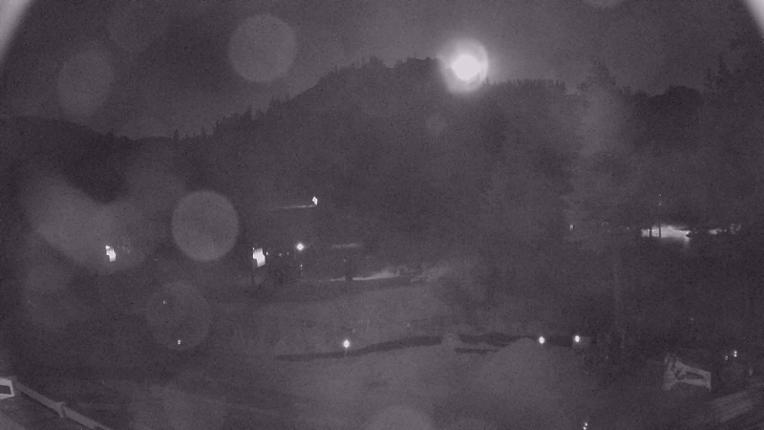 Webcam Sugar Bowl: Mount Disney 2