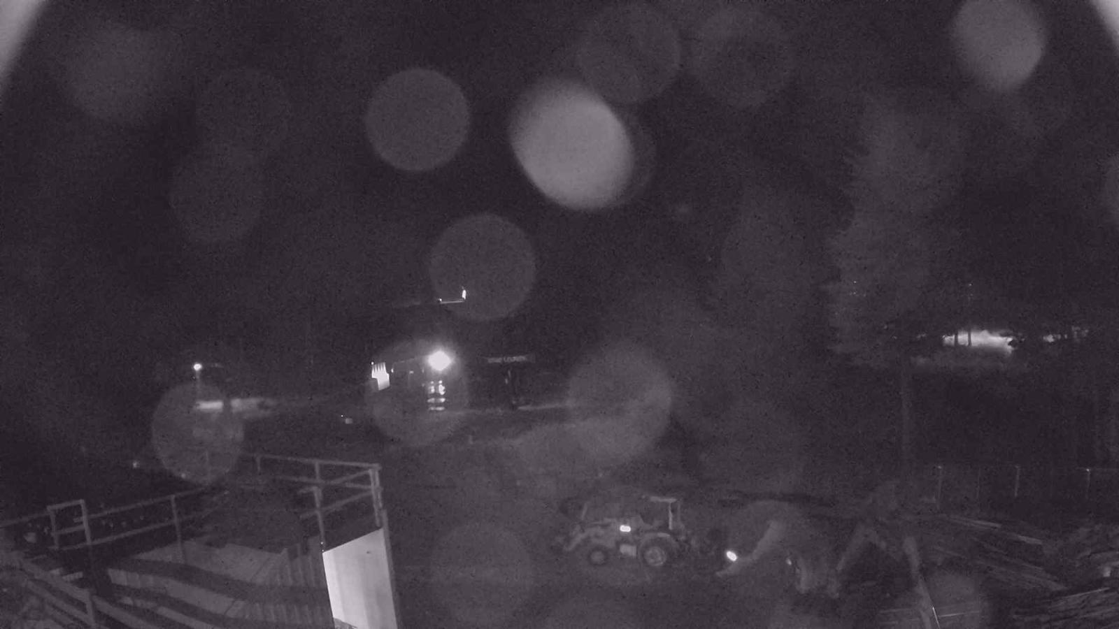Webcam Sugar Bowl: Mount Disney 2