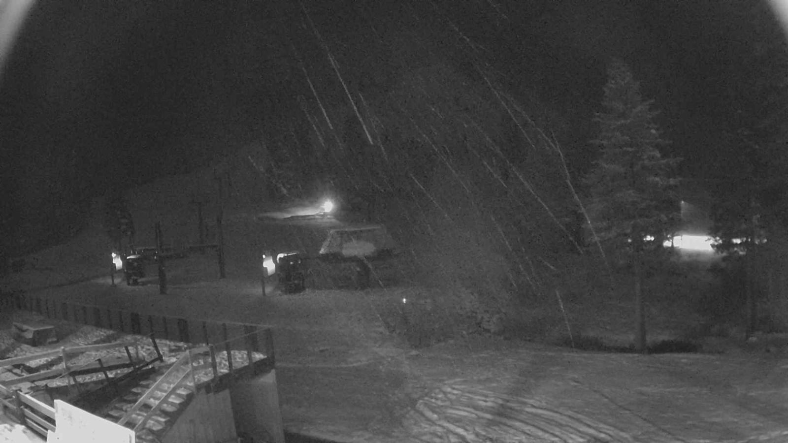 Webcam Sugar Bowl: Mount Disney 2