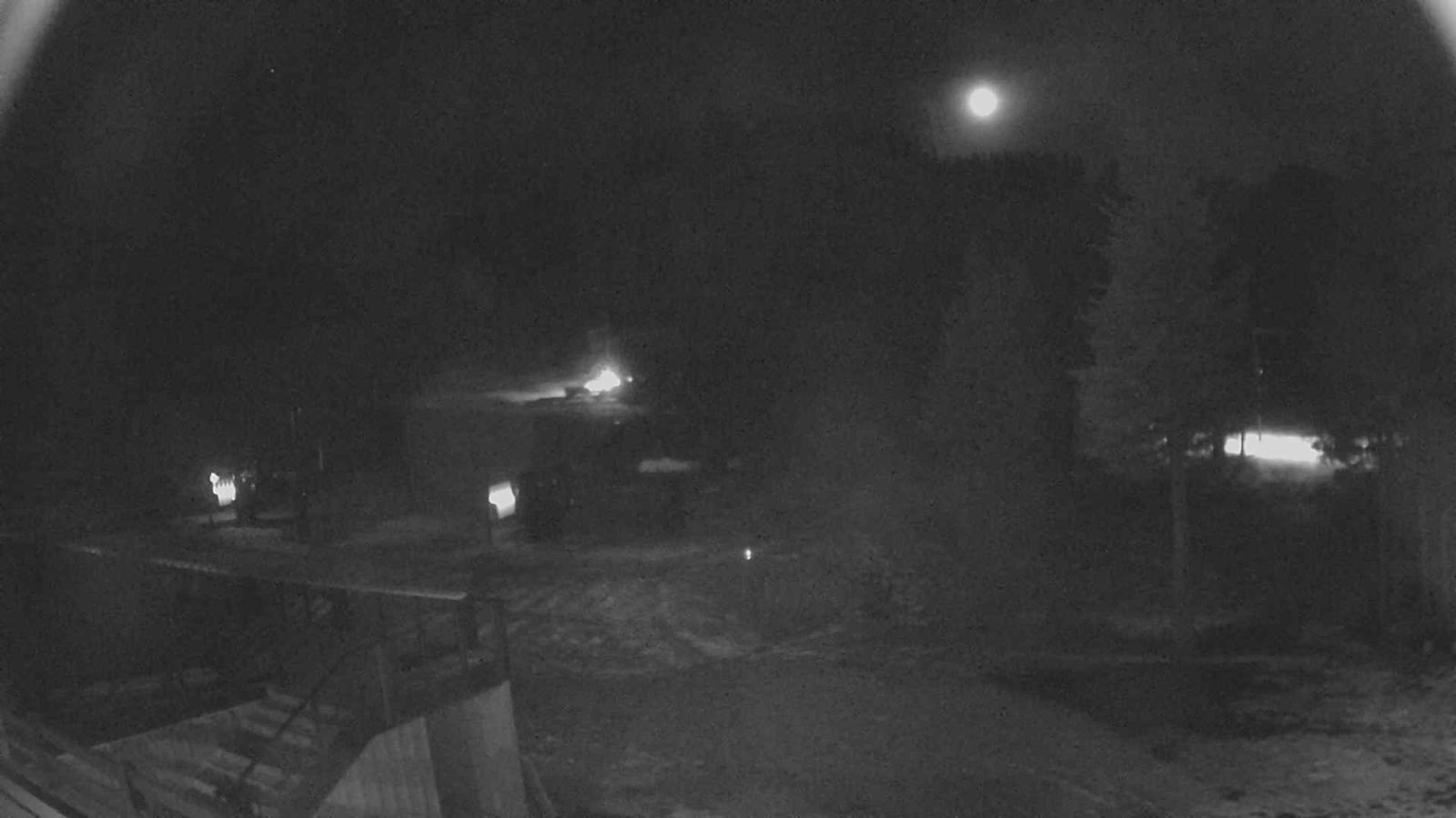 Webcam Sugar Bowl: Mount Disney 2