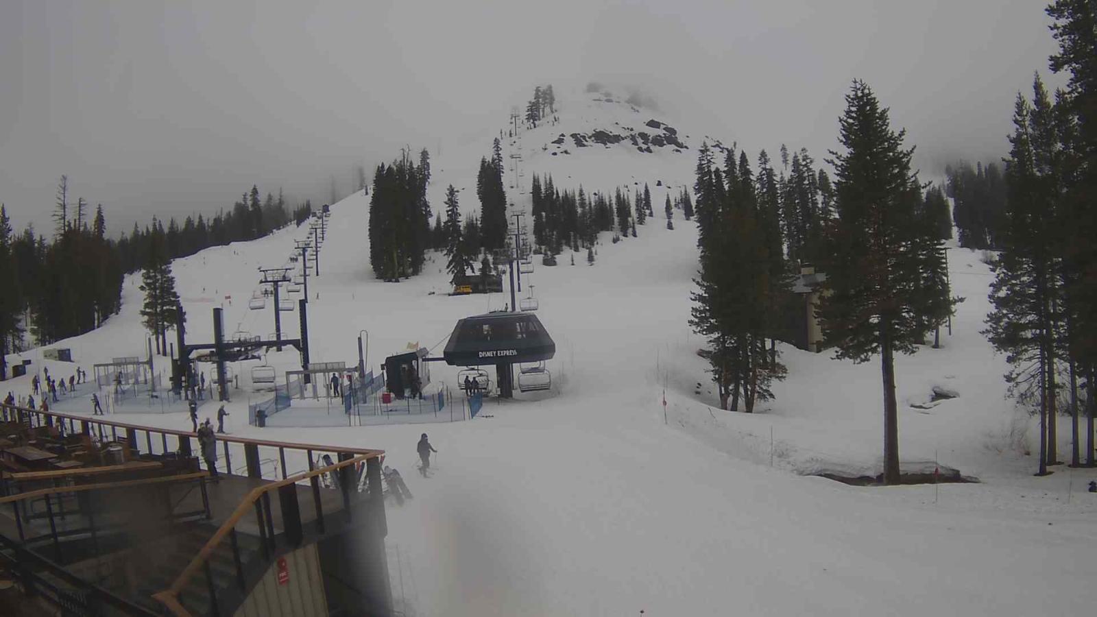 Webcam Sugar Bowl: Mount Disney 2