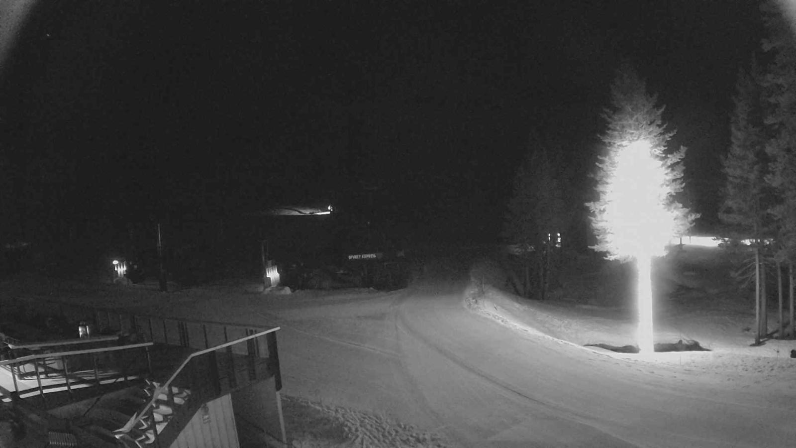 Webcam Sugar Bowl: Mount Disney 2