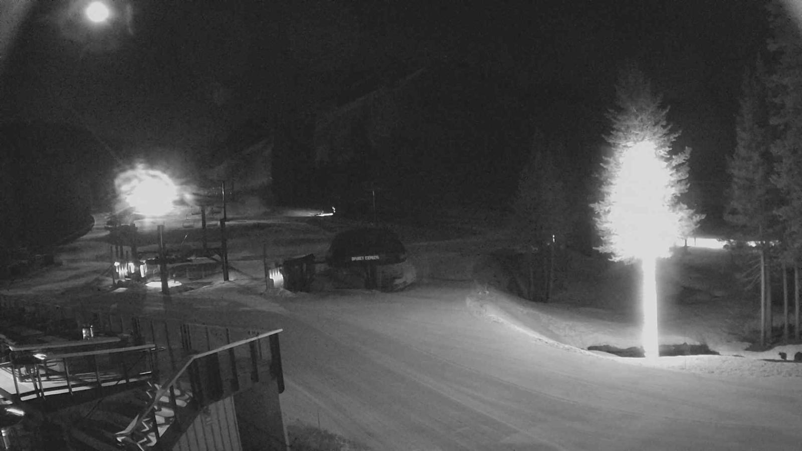 Webcam Sugar Bowl: Mount Disney 2