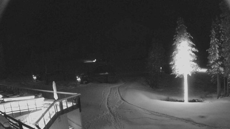 Webcam Sugar Bowl: Mount Disney 2