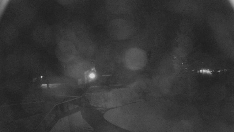 Webcam Sugar Bowl: Mount Disney 2