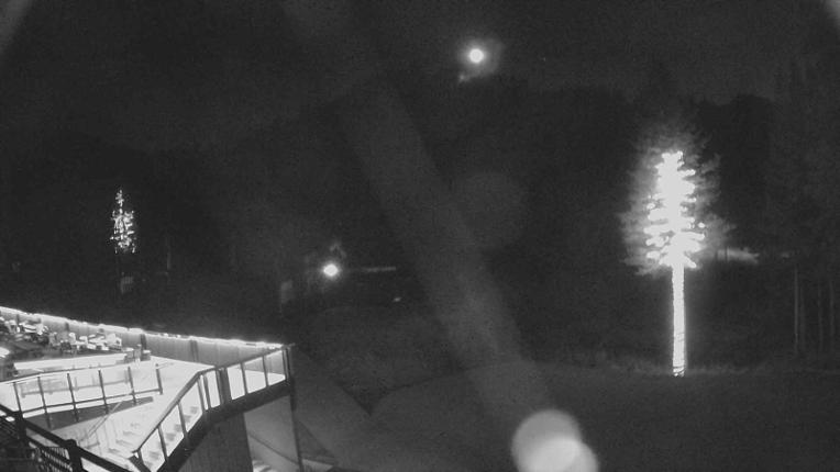 Webcam Sugar Bowl: Mount Disney 2
