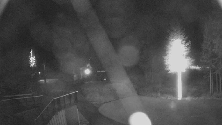 Webcam Sugar Bowl: Mount Disney 2