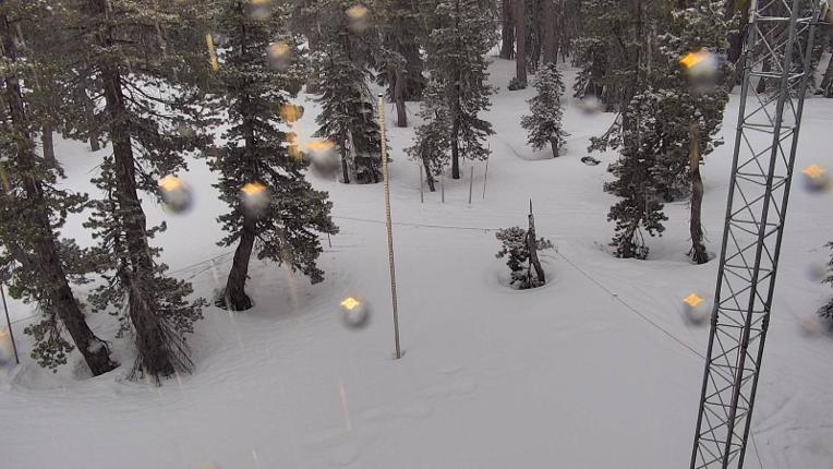 Webcam Sugar Bowl: Powder Cam