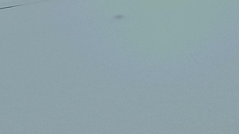 Webcam Sugar Bowl: Powder Cam