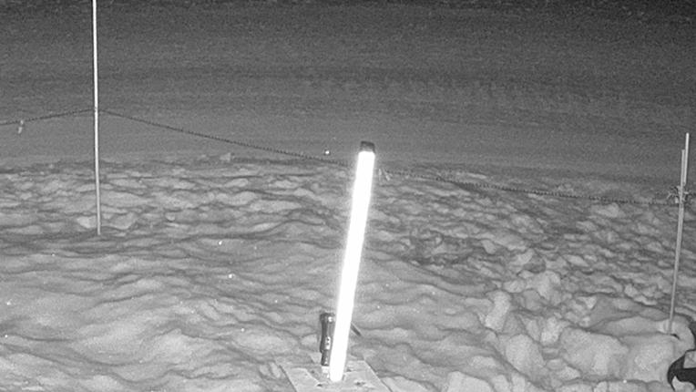 Webcam Sugar Bowl: Powder Cam