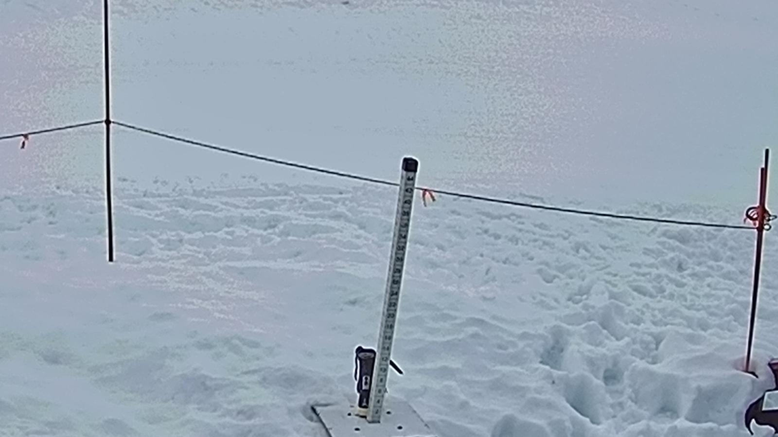 Webcam Sugar Bowl: Powder Cam