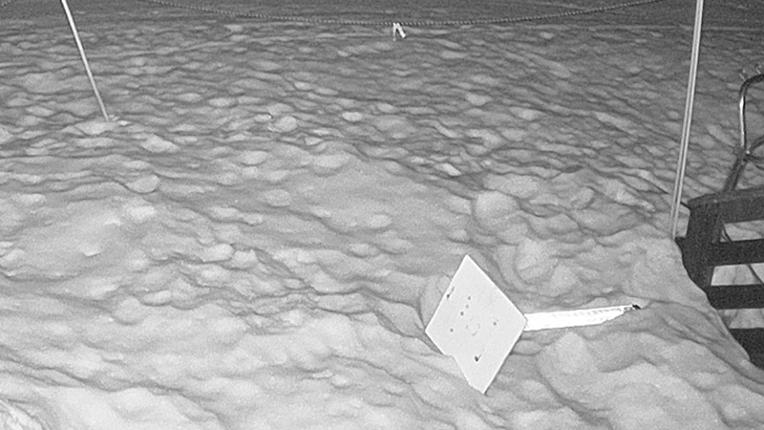 Webcam Sugar Bowl: Powder Cam