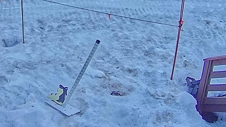 Webcam Sugar Bowl: Powder Cam