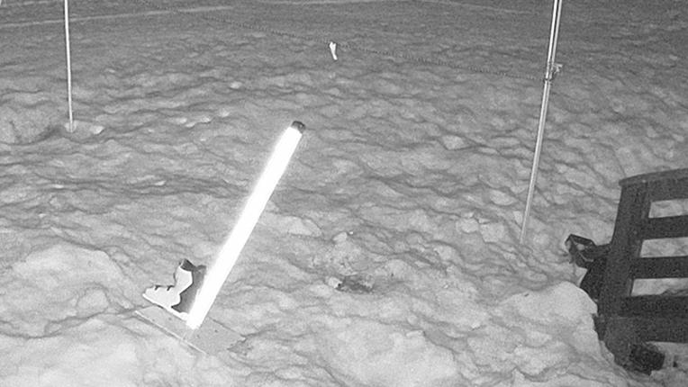 Webcam Sugar Bowl: Powder Cam