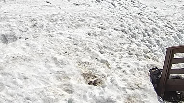 Webcam Sugar Bowl: Powder Cam