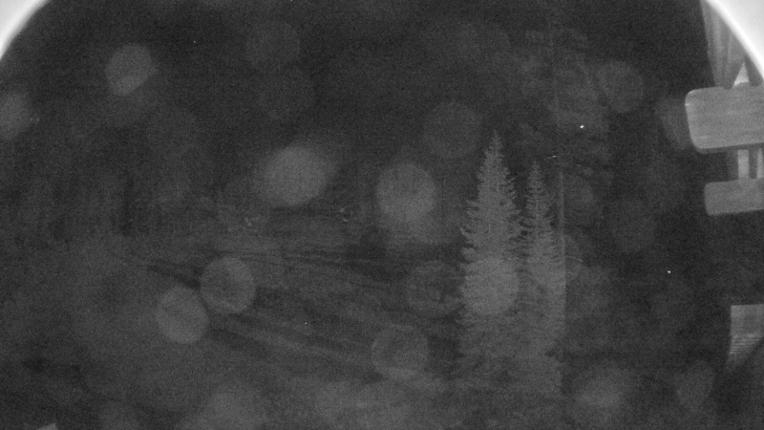 Webcam Sugar Bowl: Race Arena
