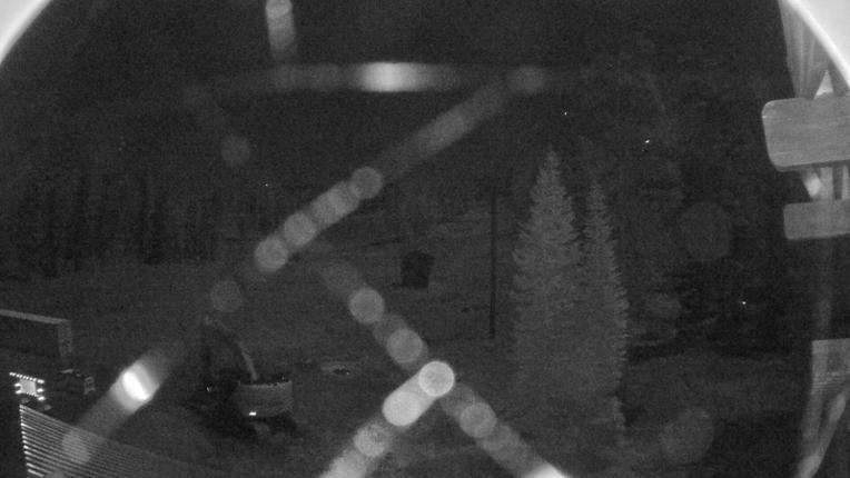 Webcam Sugar Bowl: Race Arena