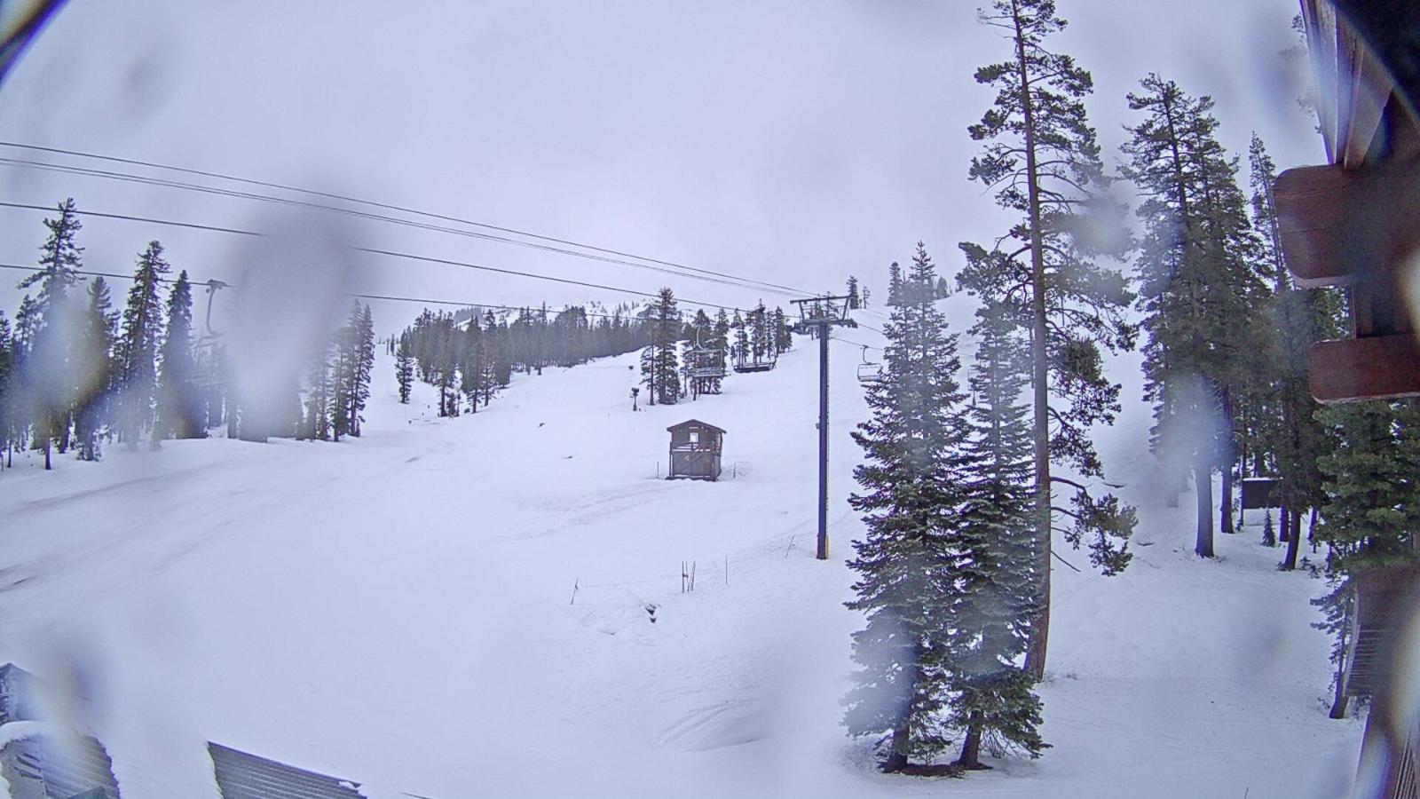 Webcam Sugar Bowl: Race Arena