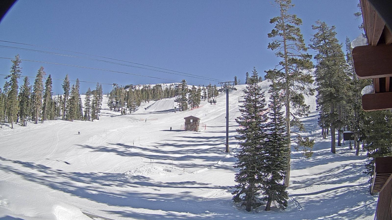 Webcam Sugar Bowl: Race Arena