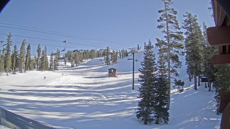 Webcam Sugar Bowl: Race Arena