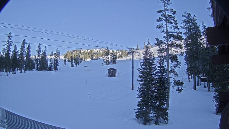 Webcam Sugar Bowl: Race Arena