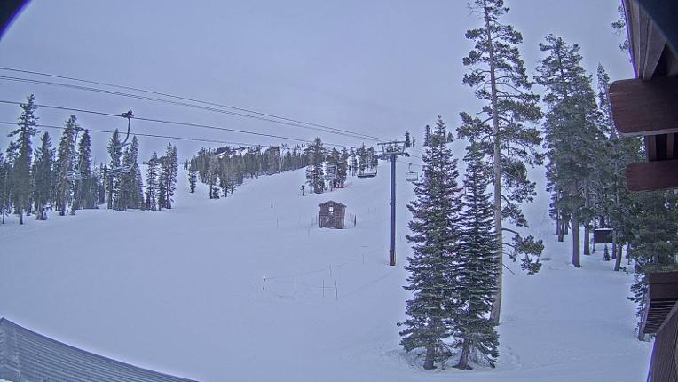 Webcam Sugar Bowl: Race Arena