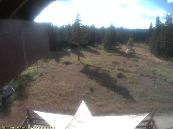 Webcam Sugar Bowl: Royal Gorge