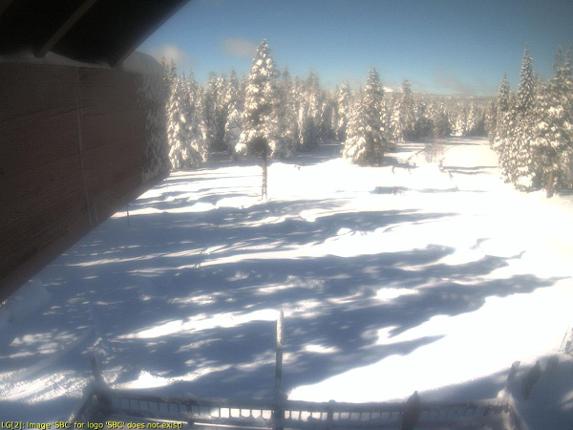 Webcam Sugar Bowl: Royal Gorge