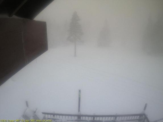 Webcam Sugar Bowl: Royal Gorge