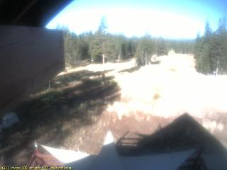 Sugar Bowl: Royal Gorge (sugarbowl.com)
