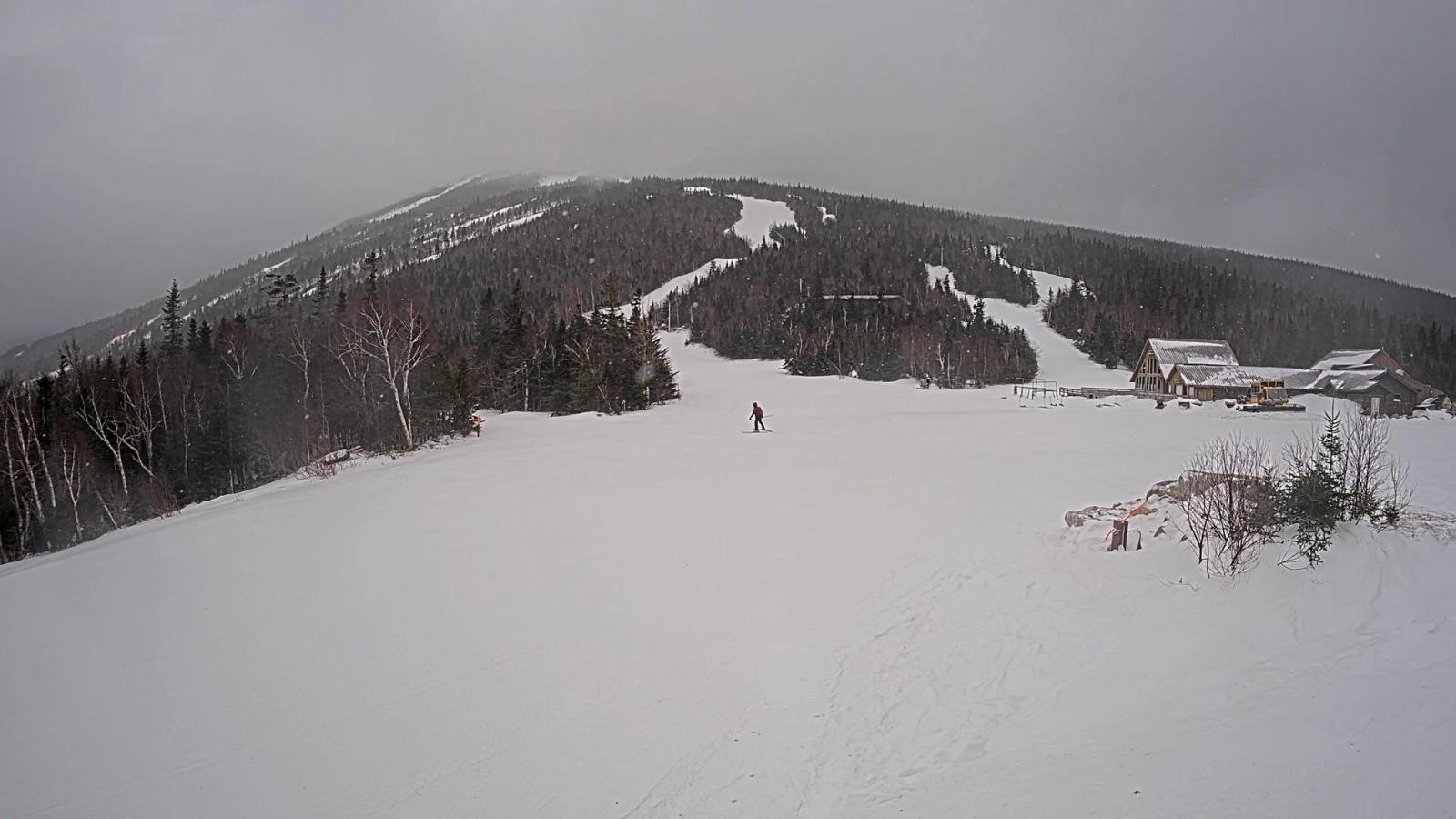 Webcam Sugarloaf: Bullwinkle