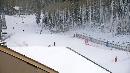 Taos: Base (skitaos.com)