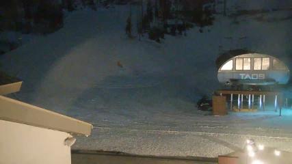 Taos: Base (skitaos.com)