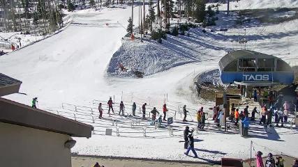 Taos: Base (skitaos.com)