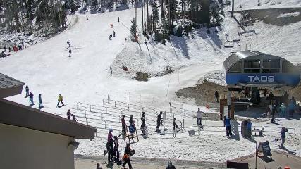 Taos: Base (skitaos.com)