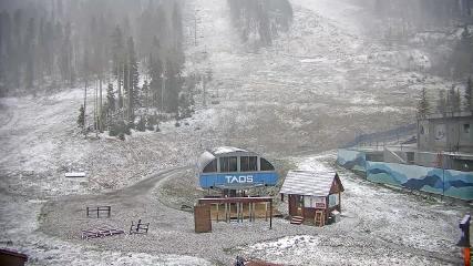 Taos: Base (skitaos.com)