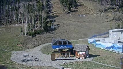 Taos: Base (skitaos.com)